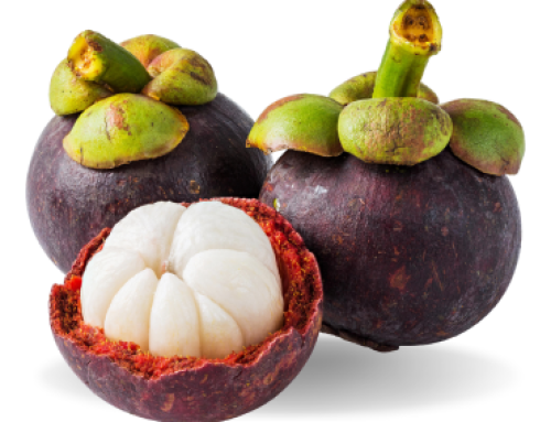 Mangosteen