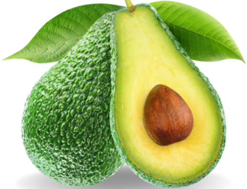 Avocado