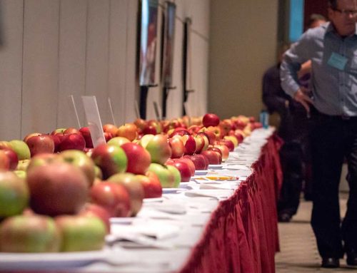 Exhibitors can now register online for Asia Fruit Logistica 2024