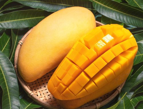 Nam Dok Mai vs. Mahachanok: A Buyer’s Guide to Thailand’s Top Mango Varieties